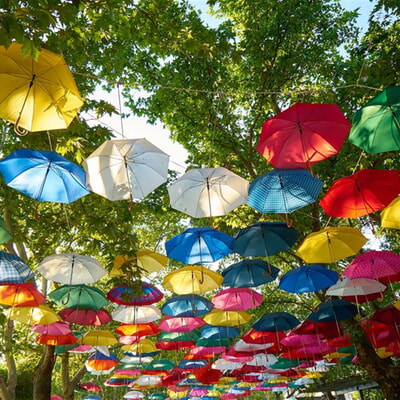 Website Offene Behinderten­arbeit